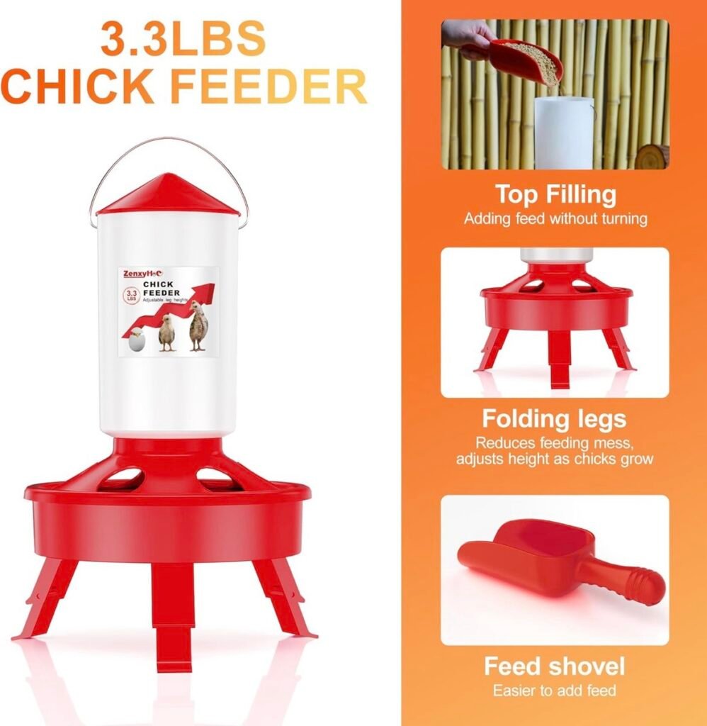 Large chick feeder