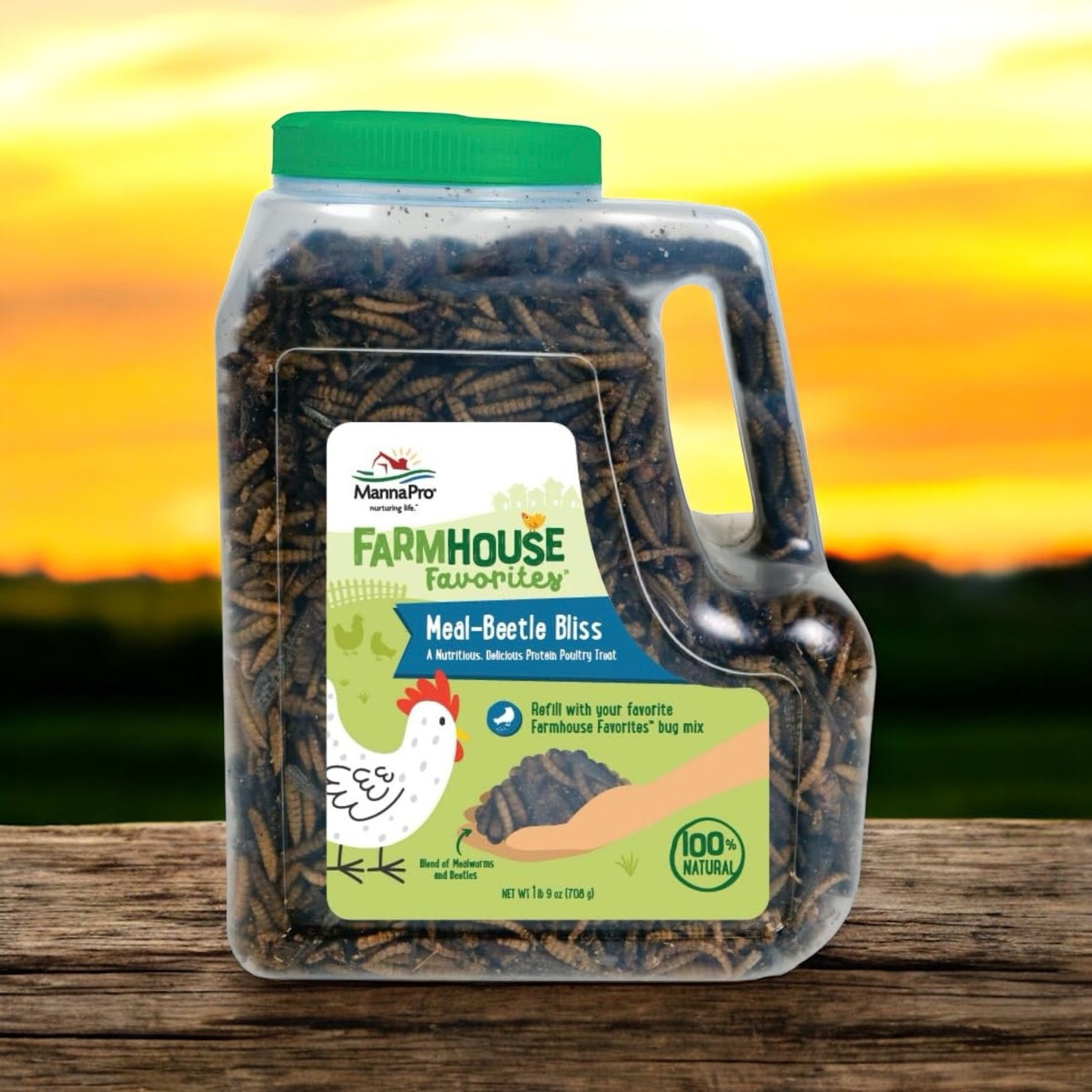 Best mealworms for chickens 