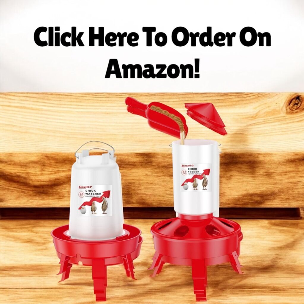 Order on Amazon!