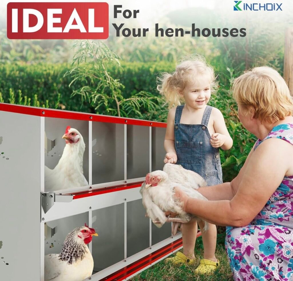 Chicken house nesting box