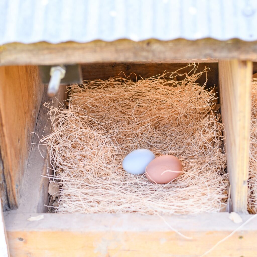 Ceramic egg in nesting box