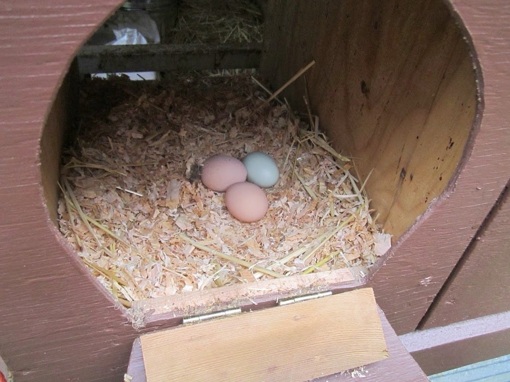 Ceramic crack resistant chicken eggs