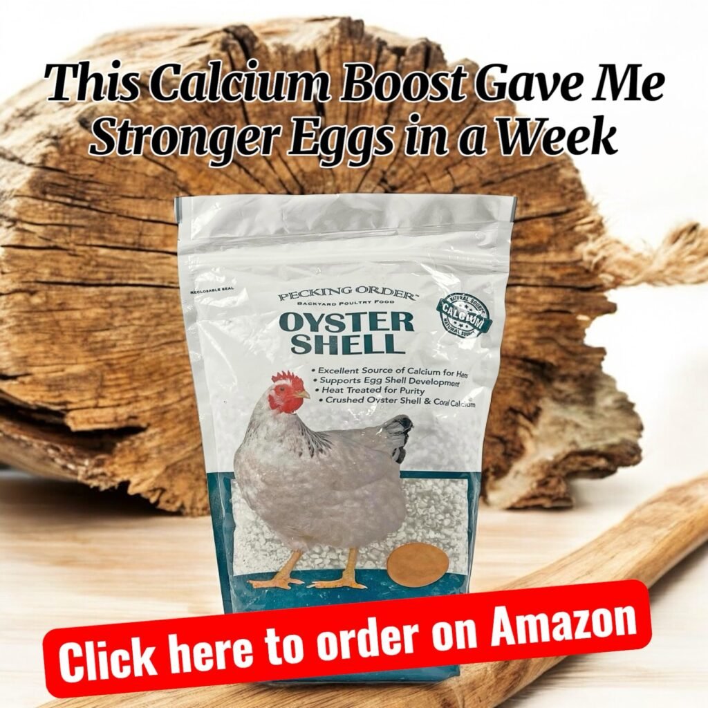 Oyster shells from Amazon for chickens