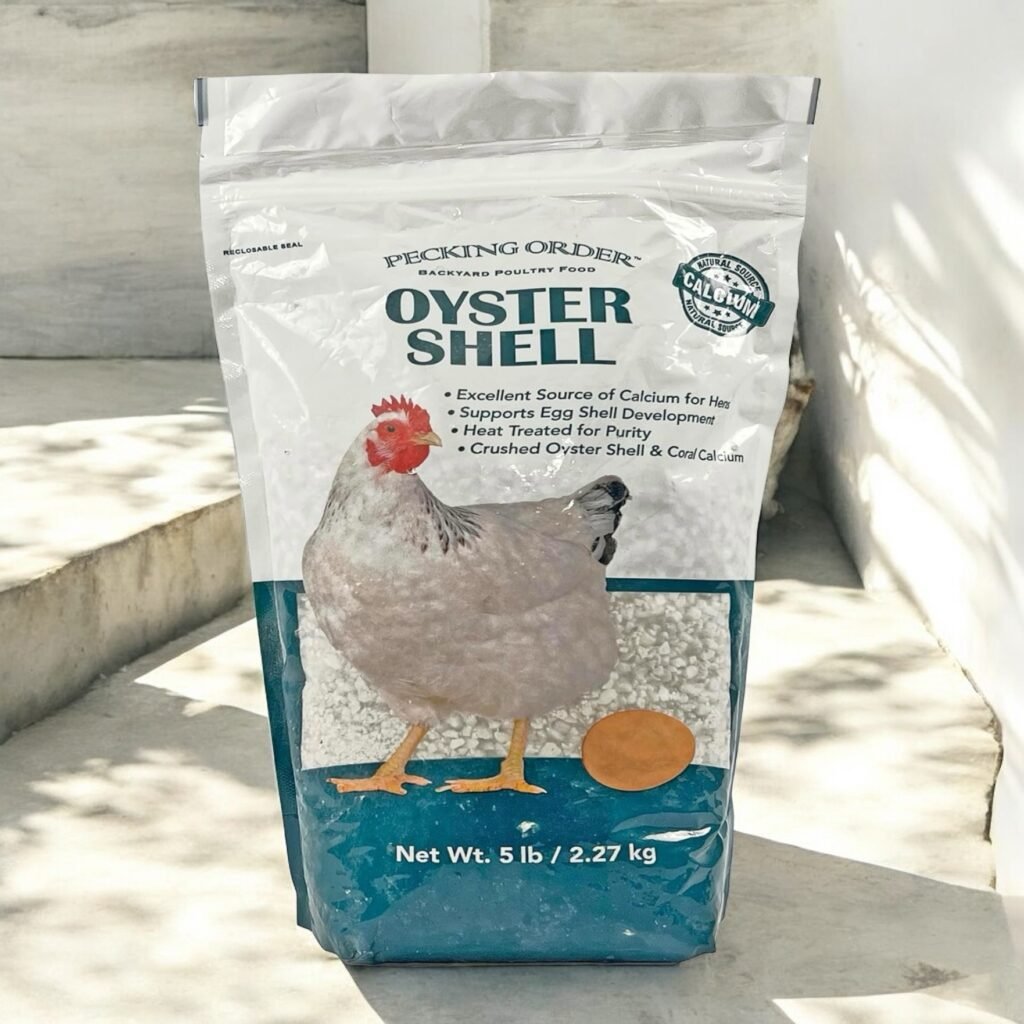 Oyster shells for chickens
