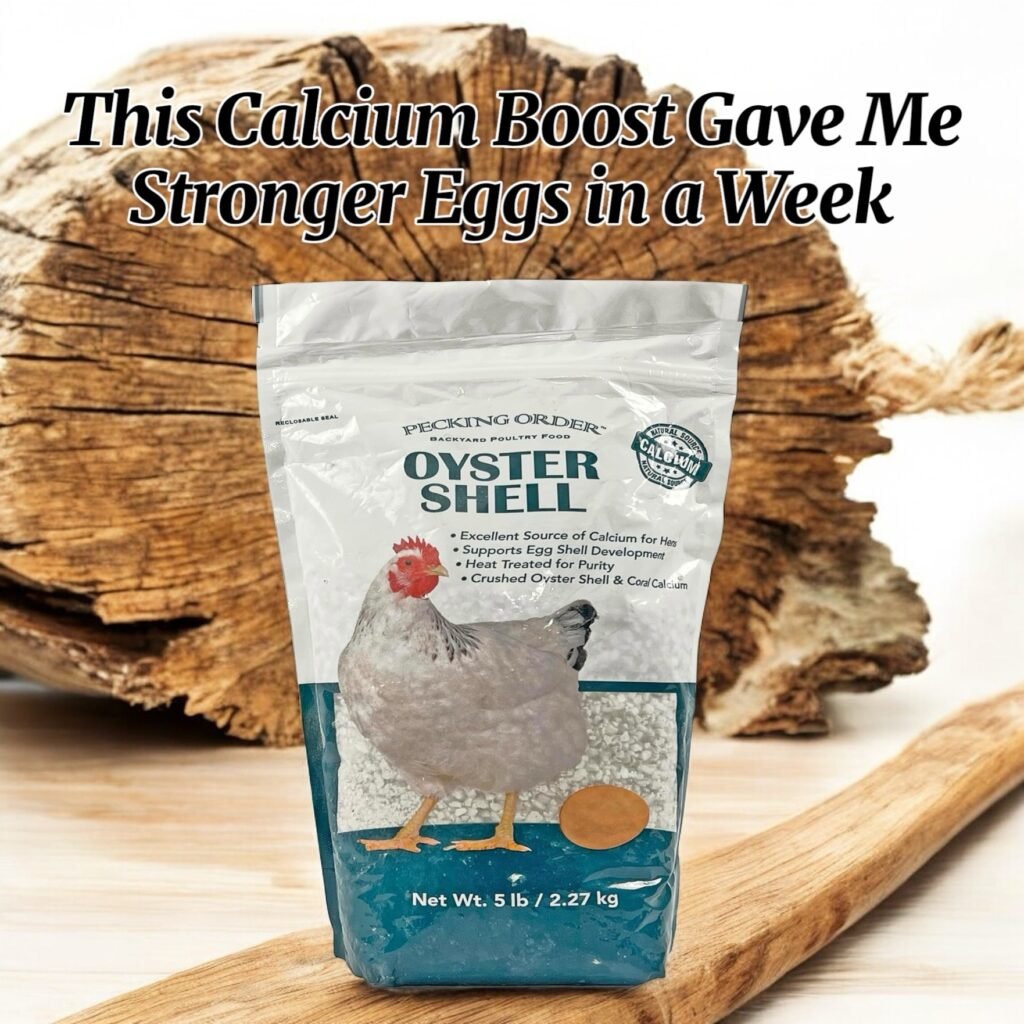 This Calcium Boost Gave Me Stronger Eggs in a Week - oyster shells for chickens 