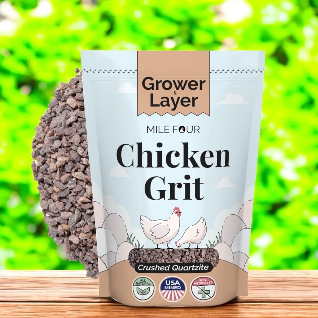 Adult hen chicken grit