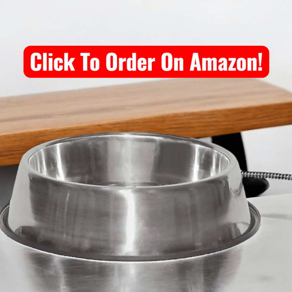 Heated water bowl buy on Amazon