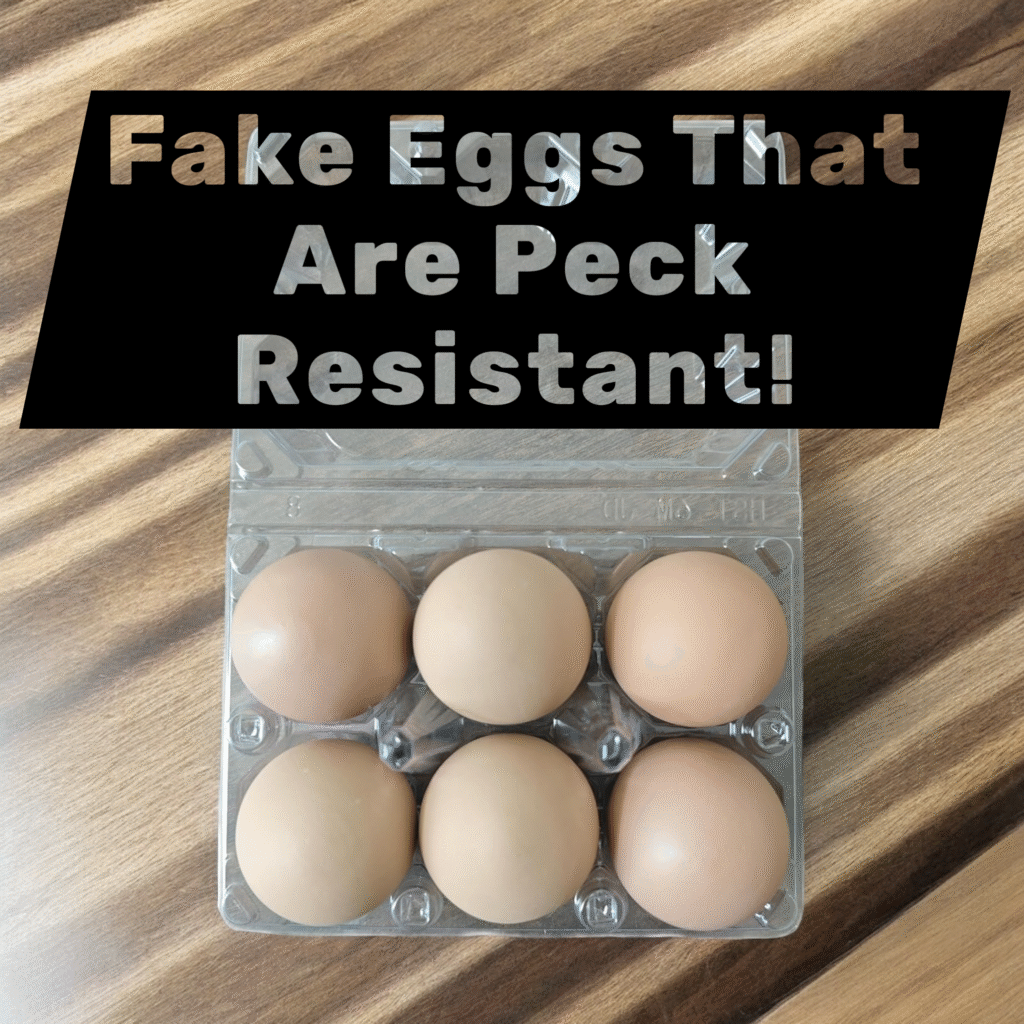 Peck resistant eggs 