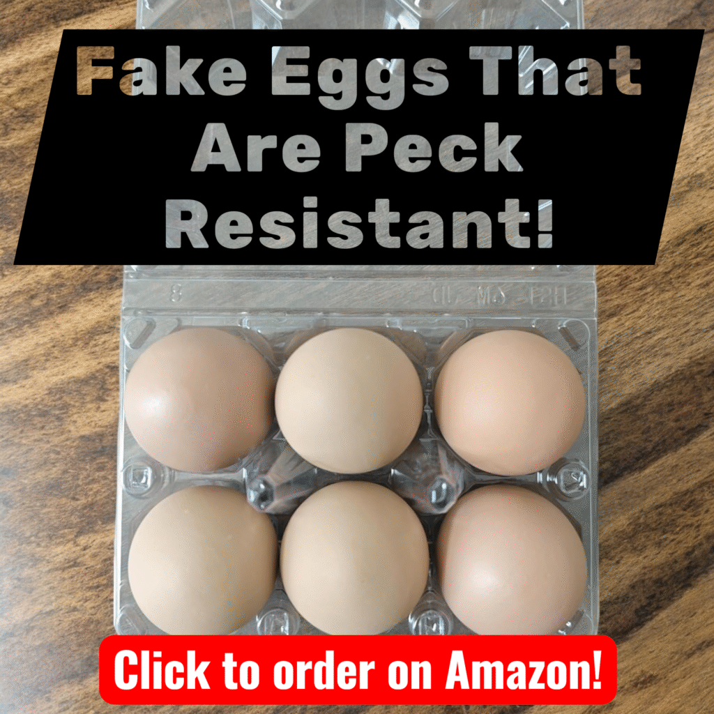 Fake eggs from Amazon