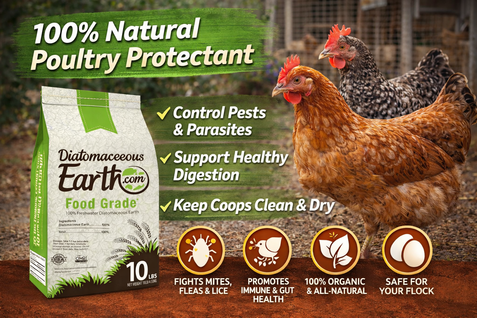 This Natural Powder Is My Go-To for Keeping Mites Under Control