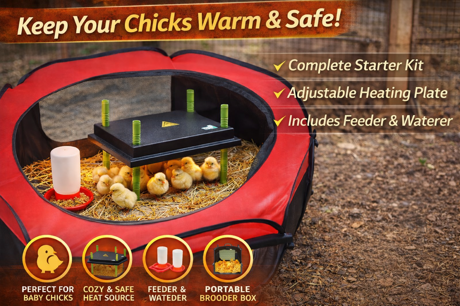 This Chick Brooder Kit Took All the Guesswork Out of Raising Chicks