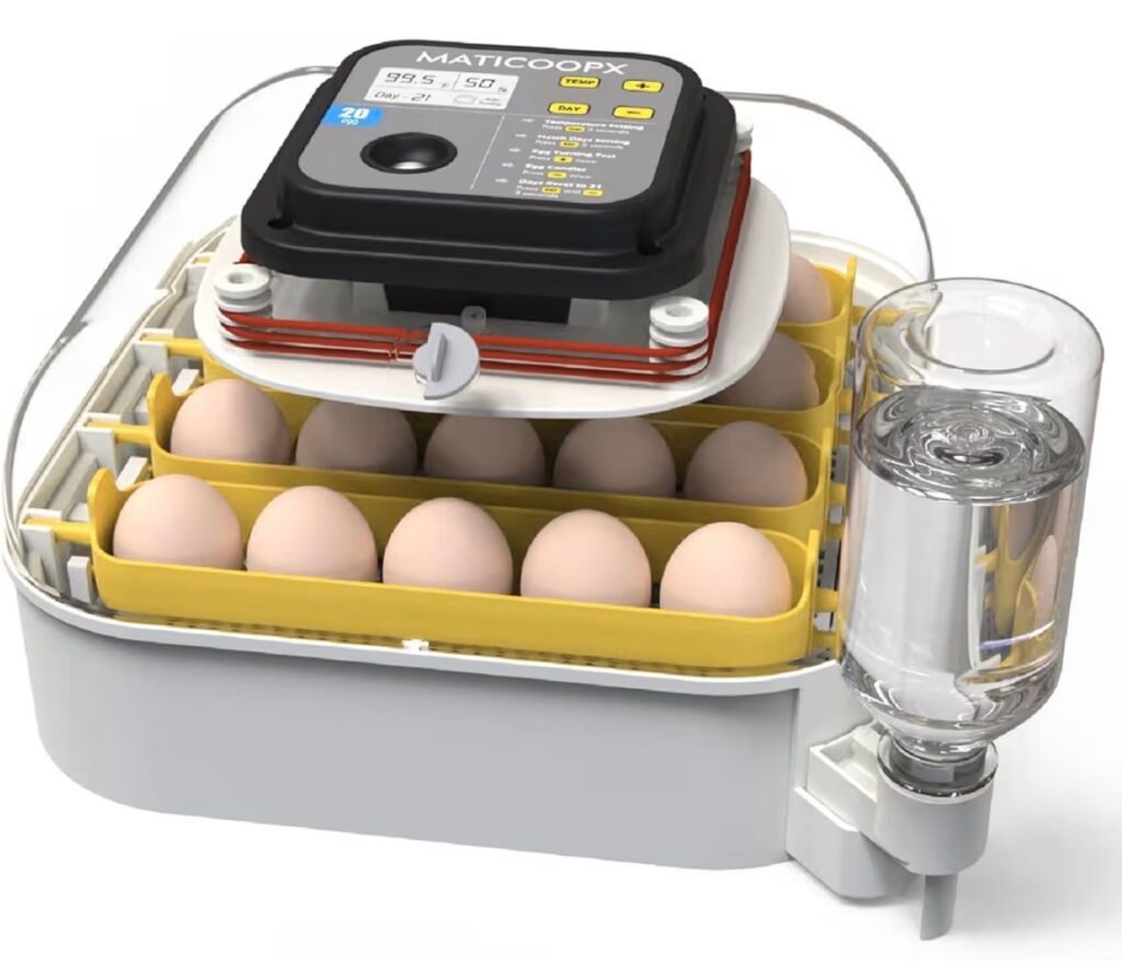Chicken egg incubator 
