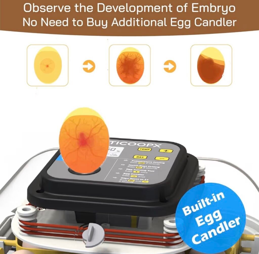 Incubator with built in egg candler