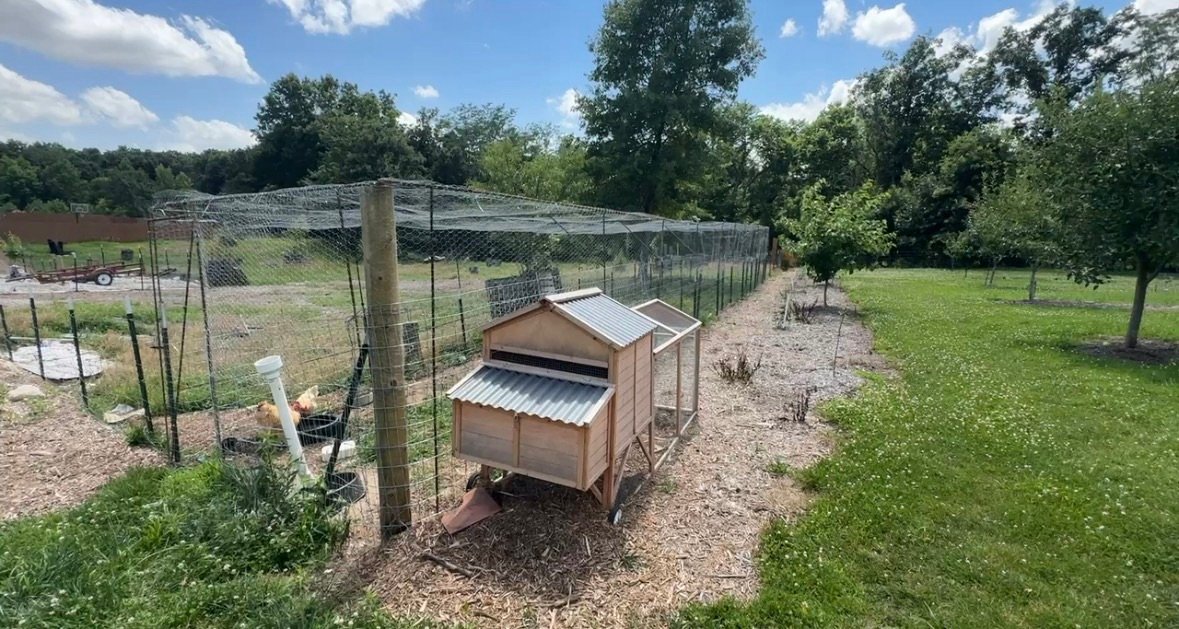 Large DIy metal chicken run build 