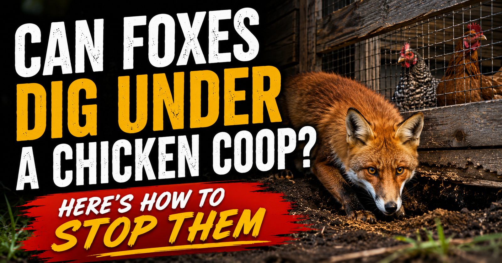 Can Foxes Dig Under a Chicken Coop? Here’s How to Stop Them